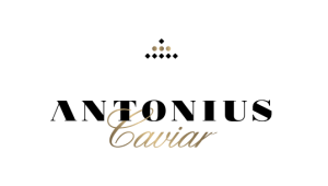 Antonius caviar